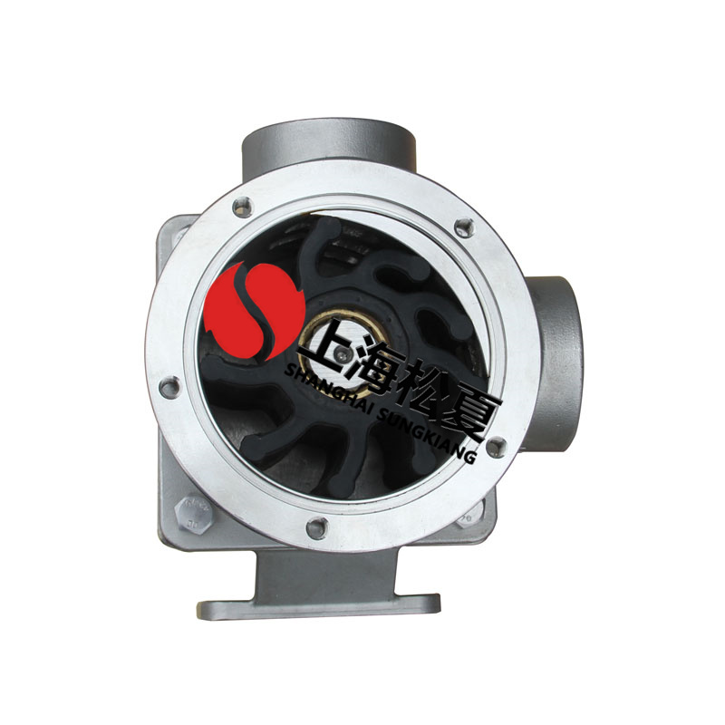  什么叫內裝式橡膠葉輪泵？